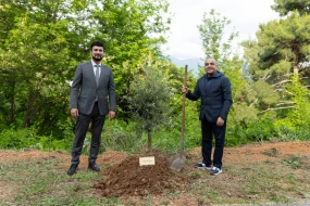 “Azərbaycan Ağacı” Budvada əkildi - FOTO