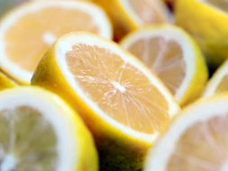Rusiyada limon bahalaşdı