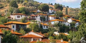 Qohum evlilikləri bu kəndi ŞİKƏST QOYDU&nbsp;