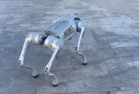 Bakıda robot it görənləri şoka saldı - VİDEO