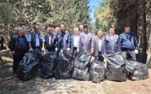 Məhv edilmiş yaşıllıq sahəsi bərpa olundu - FOTOLAR