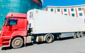 Naxçıvanda dializ xəstələri üçün dərmanlar təhvil verildi