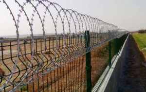 Qonşu ölkə sərhəddə 400 km uzunluqda təhlükəsizlik divarı tikir