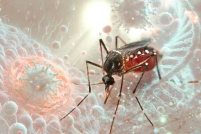 Ölümcül virus ilk dəfə Avropaya çatdı - Simptomları necədir?