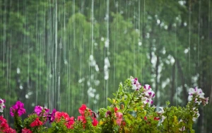 Hava ilə bağlı&nbsp; XƏBƏRDARLIQ