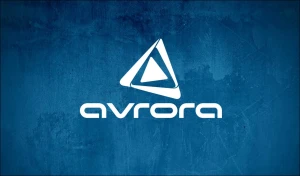 Avrora Qrup yardım aksiyası keçirdi - FOTO