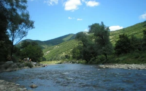 Çaylarda müşahidə olunan faktiki vəziyyət