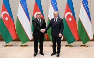 Əli Əsədov Mirziyoyevlə görüşdü