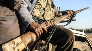 Terror qruplaşması tərəfindən 120 uşaq qaçırılıb - HRW