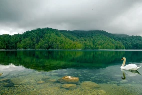 Milli parklara səfər edən turistlərin SAYI