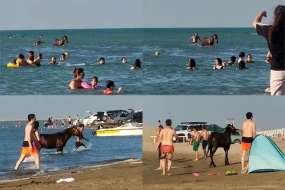Pirşağı çimərliyində atla dənizə girən şəxs həbs olundu