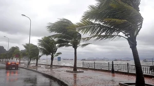 Taylandda \"Wipha\" qasırğası - 7 ölü, 143 yaralı