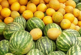 AQTA qarpız-yemişlə bağlı yoxlamalara başladı