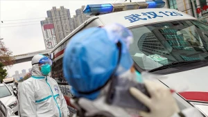 Yeni virus yayıldı - Müalicəsi yoxdur
