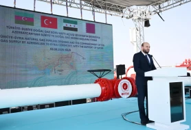 Suriya Azərbaycana təşəkkür etdi