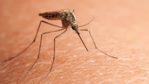 Çində yeni virus xəbərdarlığı - Yoluxanların sayı 7 mini ötdü