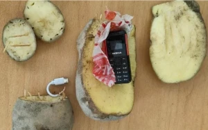 Məhkuma kartofun içində telefon ötürmək istədilər