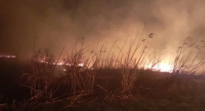 Ağdamda güclü yanğın - FOTO