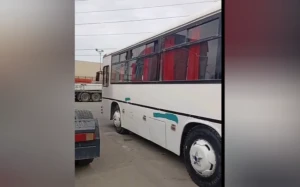 Qanunsuz sərnişin daşıdı - Həbs edildi