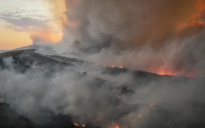 Türkiyədə meşə yanğınları davam edir