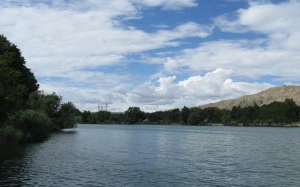 Kür çayında balıqların kütləvi məhvi araşdırılır - FOTO