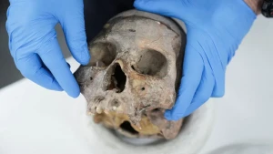 Kolumbiyada yeni insan növü aşkar edildi