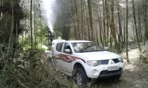 Meşələrdə zərərvericilərə qarşı mübarizə tədbirləri görülür&nbsp;