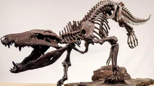 Dinozavrlarla qidalanan timsah tapıldı