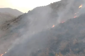 Ağdərədə dağlıq ərazidə YANĞIN