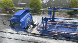 Yaponiyada \"Wipha\" qasırğası ilə bağlı xəbərdarlıq edildi