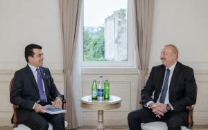 Prezident qəbul keçirdi&nbsp;