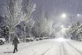 Laçın hazırda... - FOTO