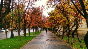 Bazar günü hava necə olacaq?