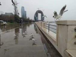 Sabah hava belə olacaq - PROQNOZ