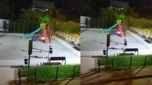 Uşaqlar yanğına səbəb oldu - Məhəllədəki parkı yandırdılar