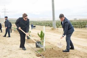 Anım Günü ilə əlaqədar ağacəkmə aksiyaları keçirilib 