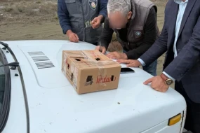 Şahin ovlamağa çalışan şəxs saxlanıldı
