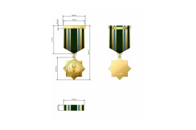 Azərbaycanda yeni medal təsis edildi