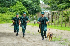 Sərhəddə 8,2 milyon manatlıq qaçaqmal əməliyyatı