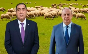 Həbs edilən icra başçıları şərik imişlər