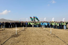 Zəfər Günü ilə əlaqədar ağacəkmə aksiyası keçirildi - Fotolar