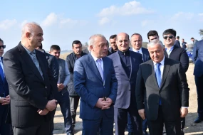 Zəfər Günü münasibətilə ADSEA ağacəkmə aksiyası keçirdi - Fotolar