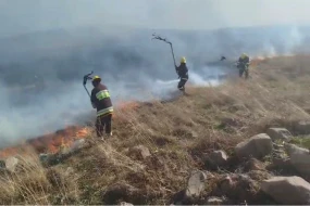 Gədəbəydə dağlıq ərazidə yanğın baş verdi - VİDEO