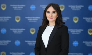 Tanınmış jurnalistə vəzifə verildi