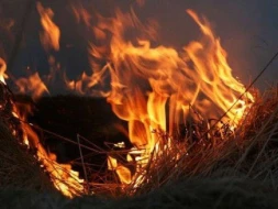 Ermənistan-Azərbaycan sərhədində baş verən yanğın davam edir