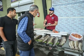 Bakıda balıq məhsullarına tələbat artıb - FOTO