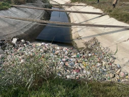 Samur–Abşeron suvarma kanalında balıqların tələfi araşdırılır - Fotolar