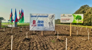 Zəfər Günü ilə əlaqədar 30 mindən artıq  ağac əkilib&nbsp;