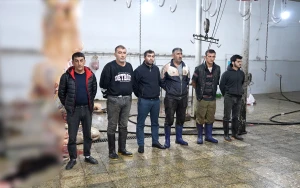 Bakıda 2 tona yaxın yararsız ət aşkarlanıb - BİRGƏ ƏMƏLİYYAT