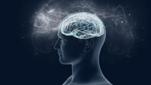 İnsan şüuru necə formalaşır? - Alim açıqladı